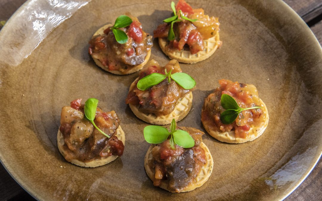 Crackers Tuinkruiden met ratatouille salsa